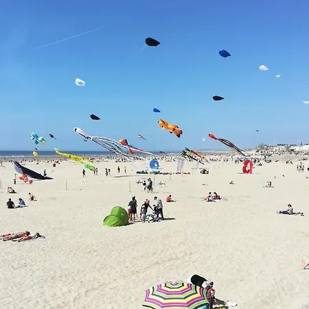 D'opale Berck