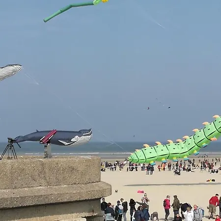 D'opale Berck